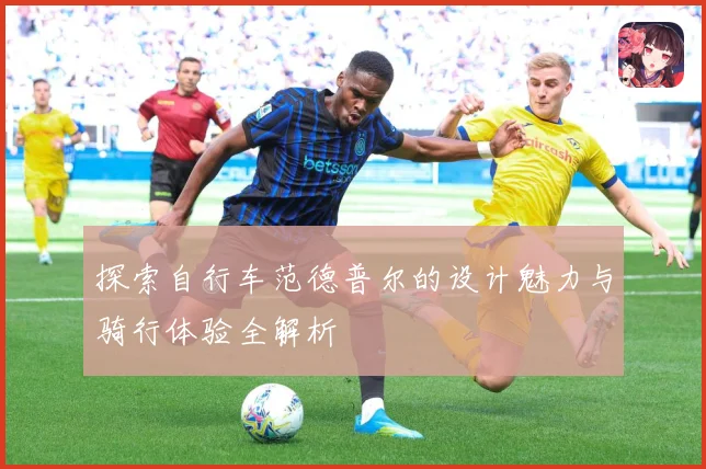 探索自行车范德普尔的设计魅力与骑行体验全解析