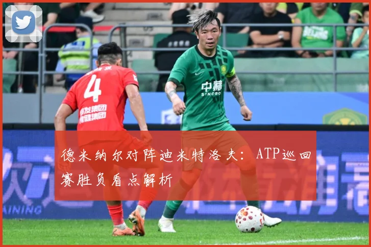德米纳尔对阵迪米特洛夫：ATP巡回赛胜负看点解析